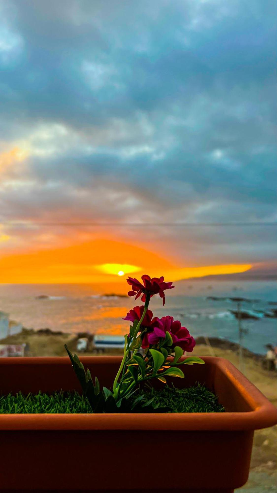 Hotel Aloha Chala Extérieur photo